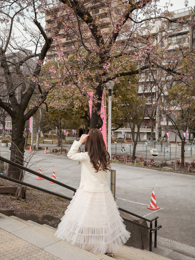 東京｜櫻花之旅 隅田公園美到窒息🌸