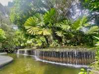 Singapore Botanic Gardens