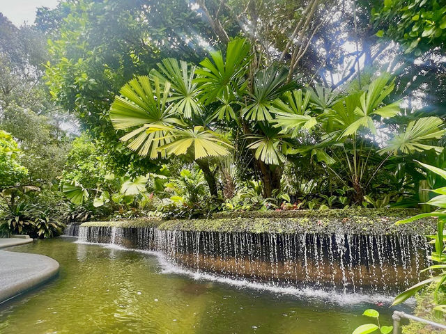 Singapore Botanic Gardens