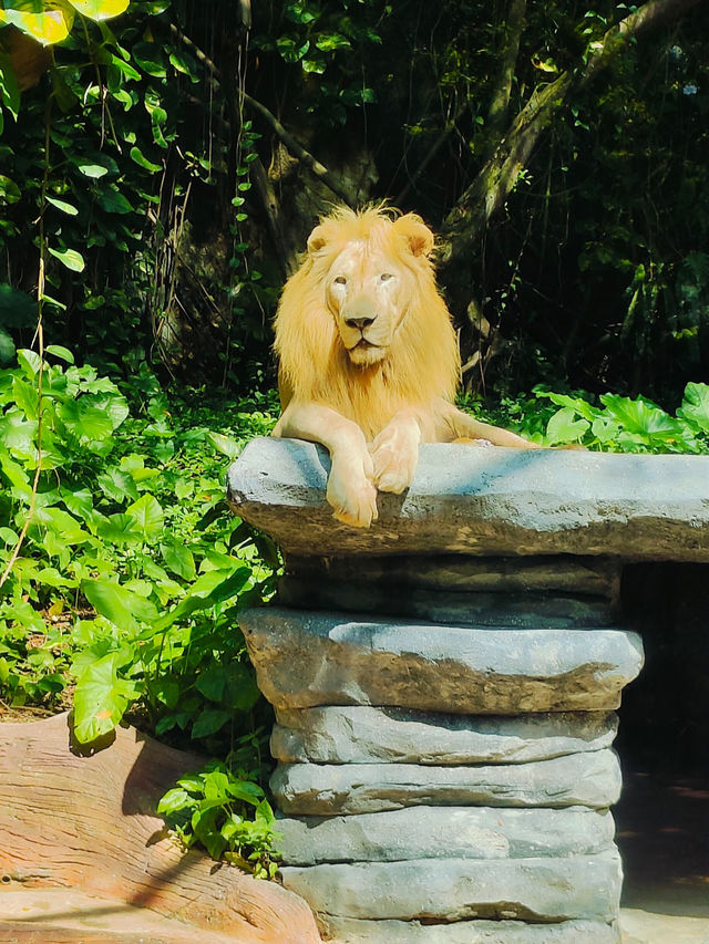 Sunway Lagoon Theme Park