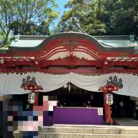 樹齢二千年の大楠パワースポット