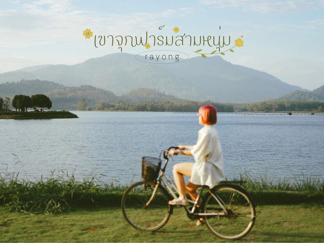 เขาจุกฟาร์มสามหนุ่ม