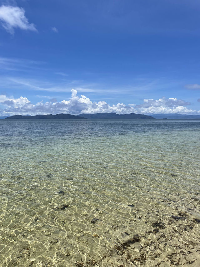 【🇦🇺】グリーン島🏝️💚 Green Island 