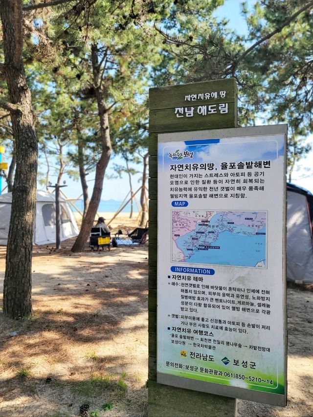 손하트 포토존과 바다보며 힐링하는 보성여행🩵
