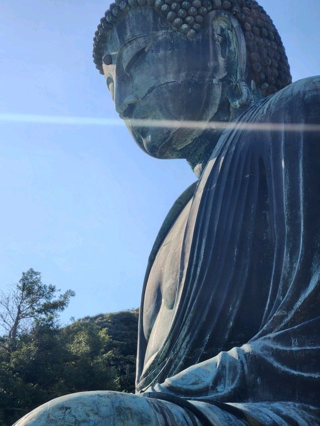 가마쿠라의 필수 관광지인 하세 고토쿠인 가마쿠라대불