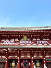 東京　東京観光　やっぱり浅草寺は外せない！2024桜の浅草寺