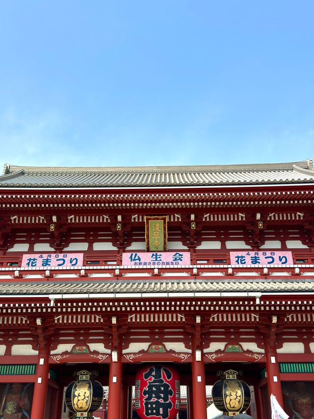 東京　東京観光　やっぱり浅草寺は外せない！2024桜の浅草寺