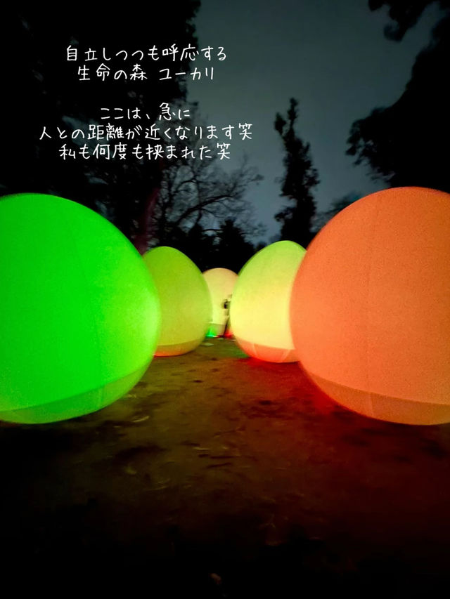 【大阪】自然とART 野外ミュージアム チームラボ🌳ボタニカルガーデン🌳
