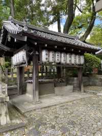 【京都】うさぎが可愛い神社