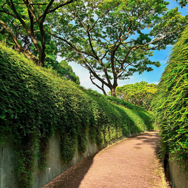 Fort Canning Tree Tunnel