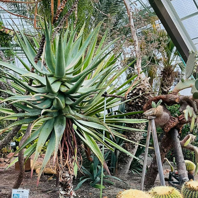 八丈植物公園：自然之美、科學教育和遊樂體驗於一體的綠色寶庫