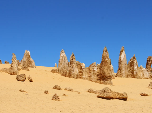 One of A Kind Experience at The Pinnacles Desert 🇦🇺