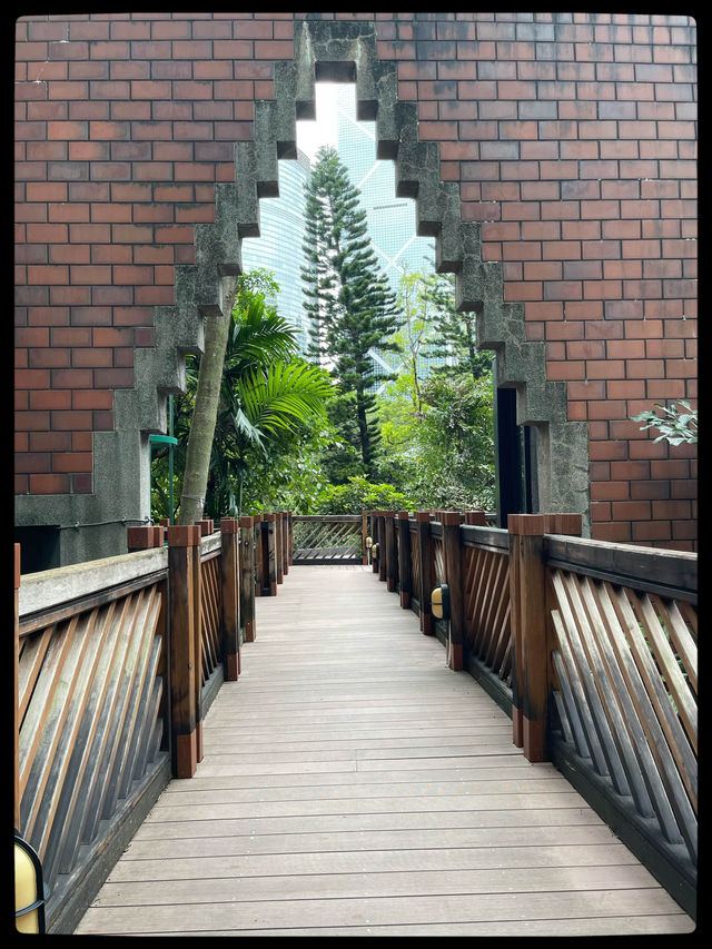 🌳春日探索香港公園的綠意之美🌸