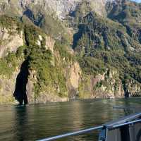 Milford Sound 米爾福德峽灣 游船+皇后鎮巴士來回