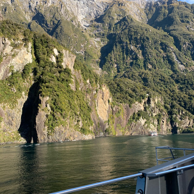 Milford Sound 米爾福德峽灣 游船+皇后鎮巴士來回