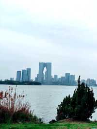 Suzhou Icon Skyscraper