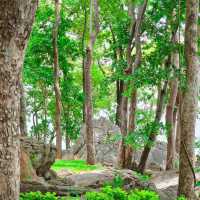 อุทยานแห่วชาติภูเก้าภูพานคำ