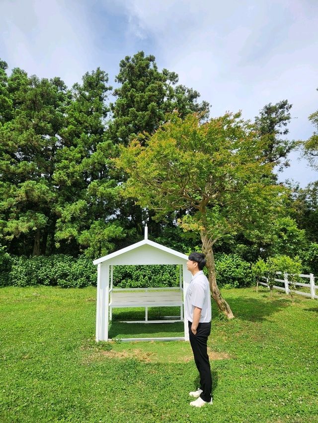 제주여행시 추천하고 싶은 아침미소목장