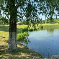 【2024】Lyon公園：湖心小島、繁花盛放，感受大自然之美