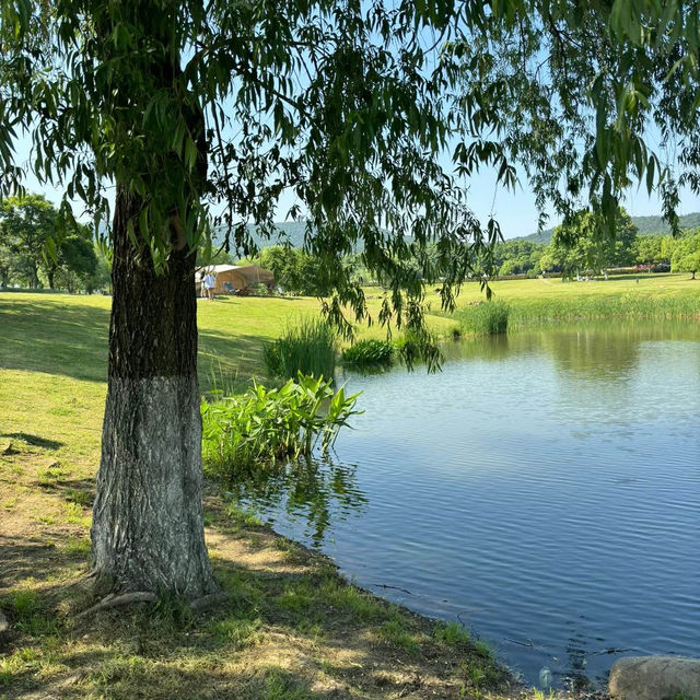 【2024】Lyon公園：湖心小島、繁花盛放，感受大自然之美