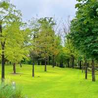 Miro Park：花園中的自然之美