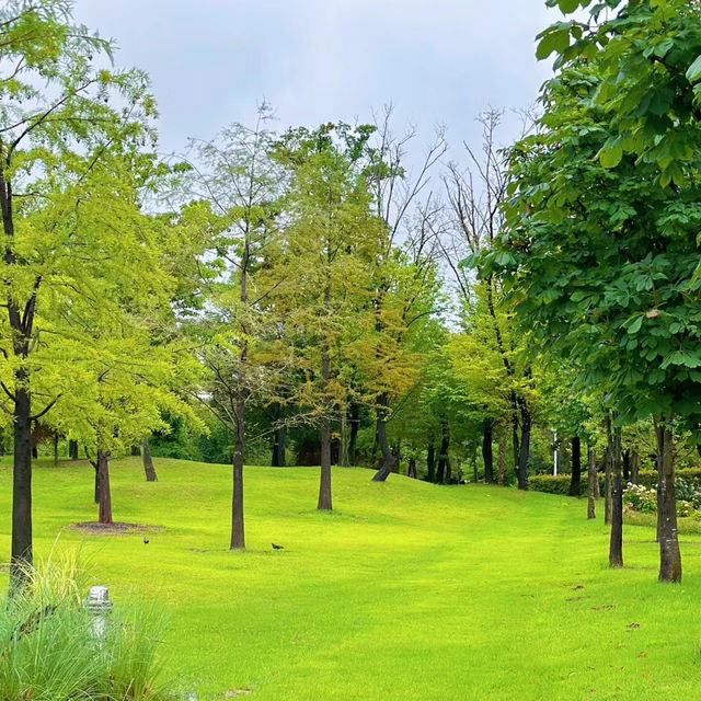 Miro Park：花園中的自然之美