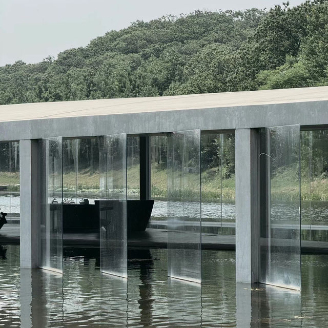 「D博物館：禪意打卡點」