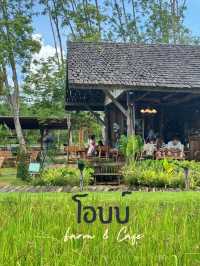 คาเฟ่ระยอง โอบบ์🌱ฟาร์ม&คาเฟ่