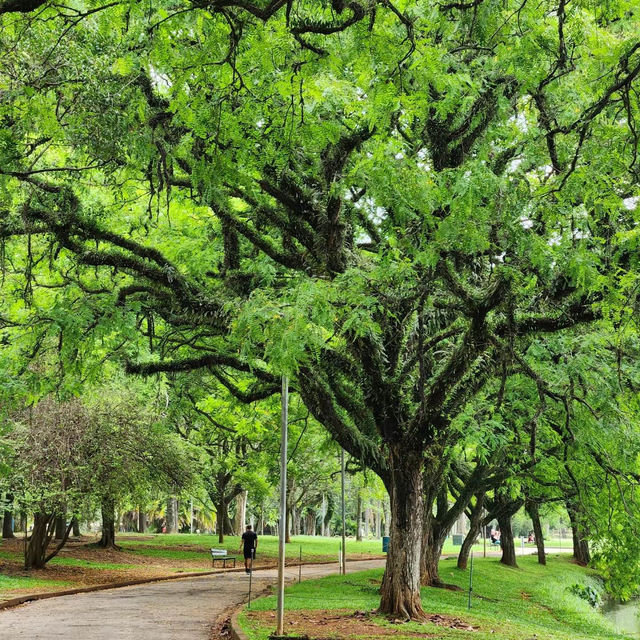 沃爾瑟姆斯托濕地公園：城市綠洲