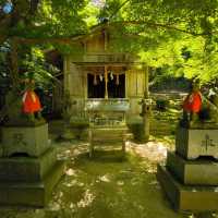 寶滿宮 竈門神社 六月有機會看到繡球花季