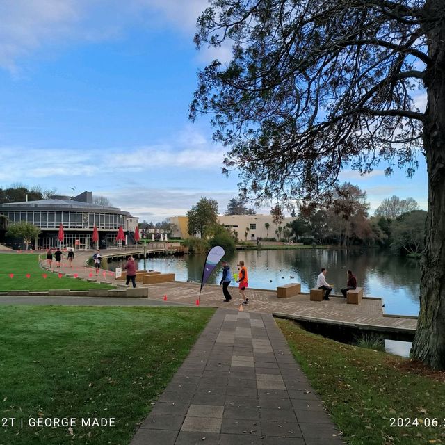 探索新西兰🇳🇿怀卡托大学校园活动