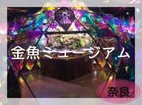 【金魚とアート】日本三大金魚の産地奈良県