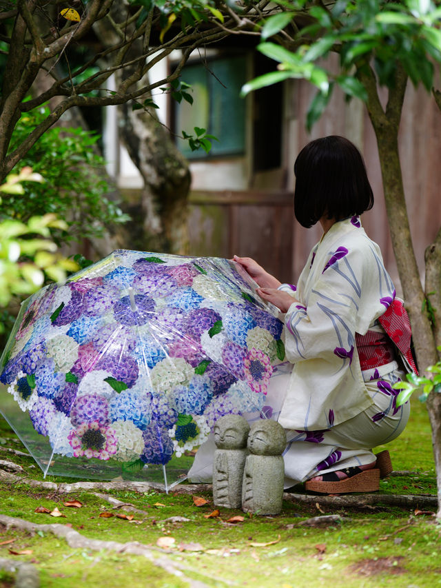 絶対行きたくなる❣️京都の映え紫陽花スポット☺️💠💐