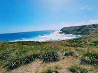 Storm Bay Lookout