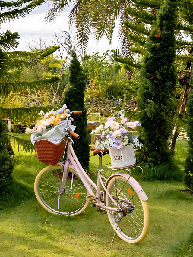 Barisut Cafe