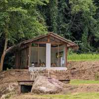 "หลงเขา" คาเฟ่กลางป่าเขาที่จะทำให้คุณหลงรัก