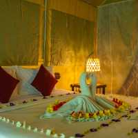 Khaosok Boutique Hideaway ที่พักสไตล์ Glamping