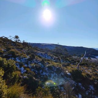the best of Tassie