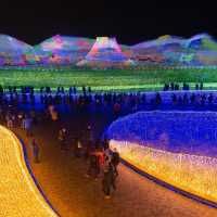 Nabana no Sato Winter 