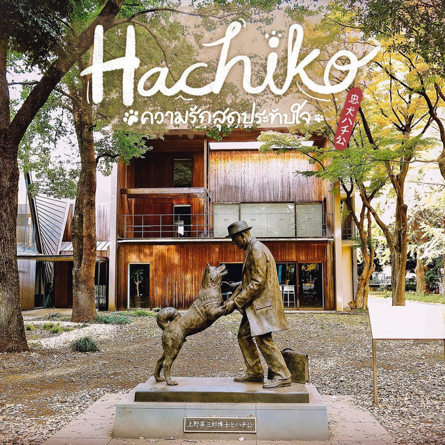 น้องหมา Hachiko ย่านชิบูย่า
