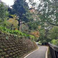 Alishan Taiwan