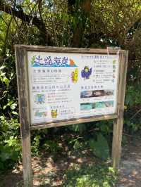 奄美大島　定番観光スポット土盛海岸🌊