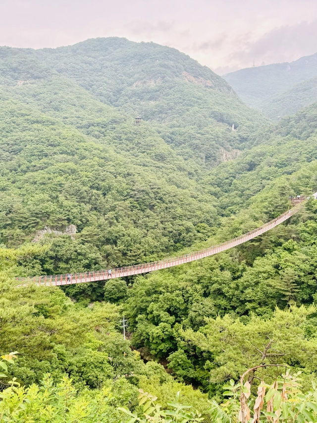 韓国の赤い吊り橋【Gamaksan Suspension Bridge】でスリル満点の絶景体験！🇰🇷