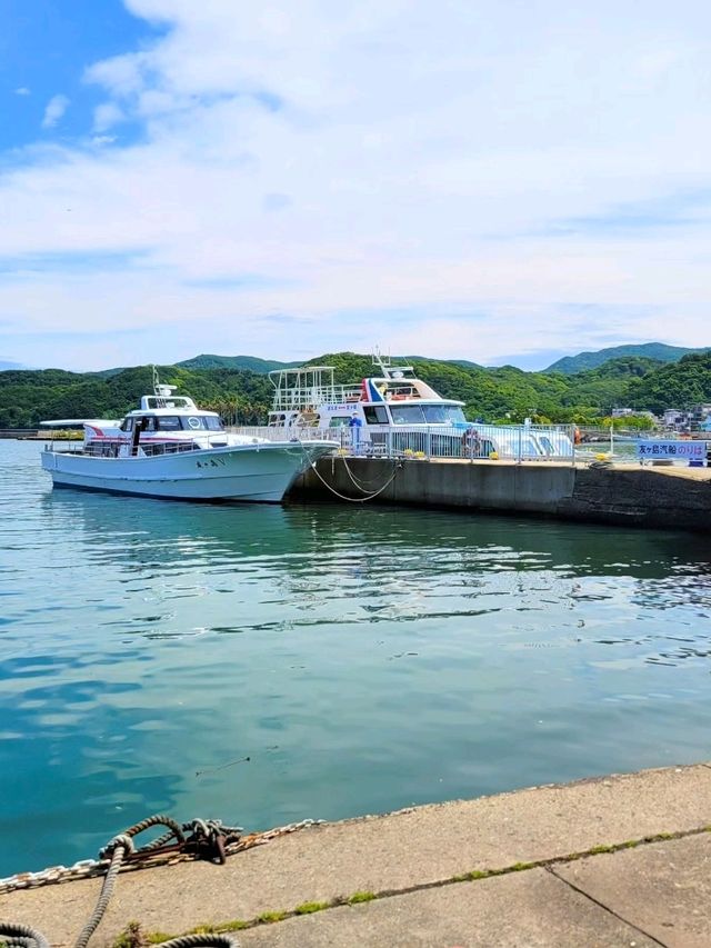【和歌山】ラピュタ島へ行く「友ヶ島汽船」