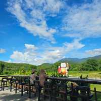 ฮิโนกิแลนด์(HINOKI LAND)