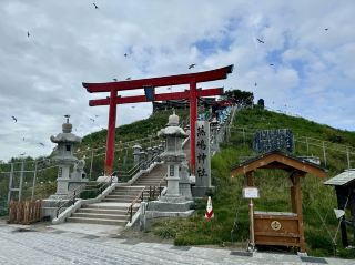 【青森】在蕪島觀賞黑尾鷗，超棒！
