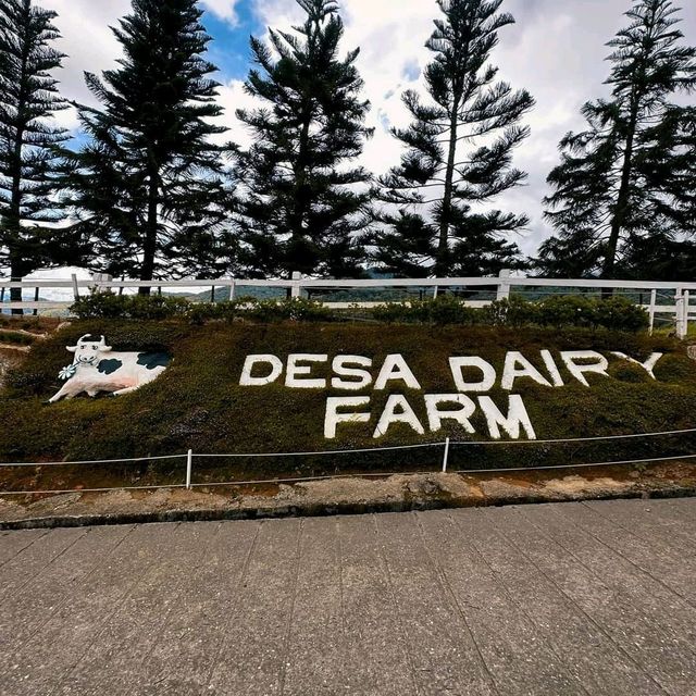 Desa Dairy Farm 'The Little New Zealand'