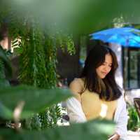 The Wonderer cafe 
