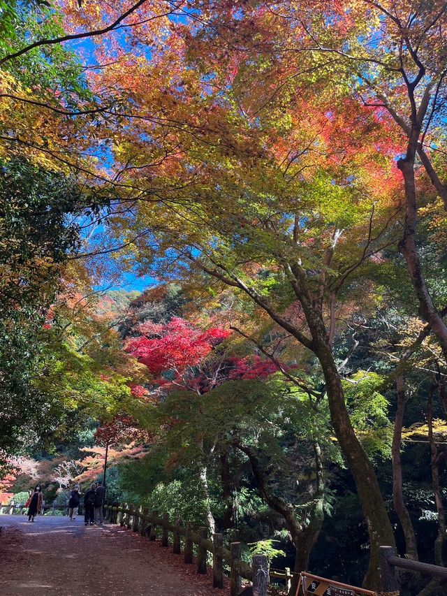 【大阪】箕面大滝