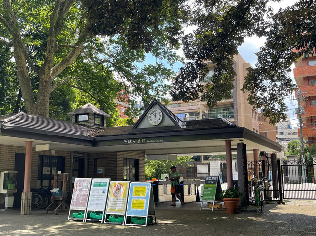 【東京】新宿御苑：櫻花季節必去景點🏖️，適合夏天遊玩🔥🔥